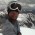 Picture of Jordan Copenhafer